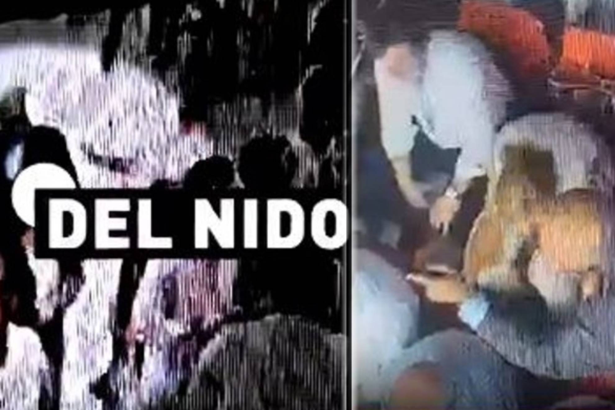 阅读能力 阅读能力