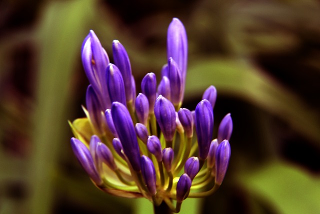 相互博弈 相互博弈