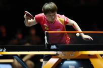 球隊和環境 球隊和環境