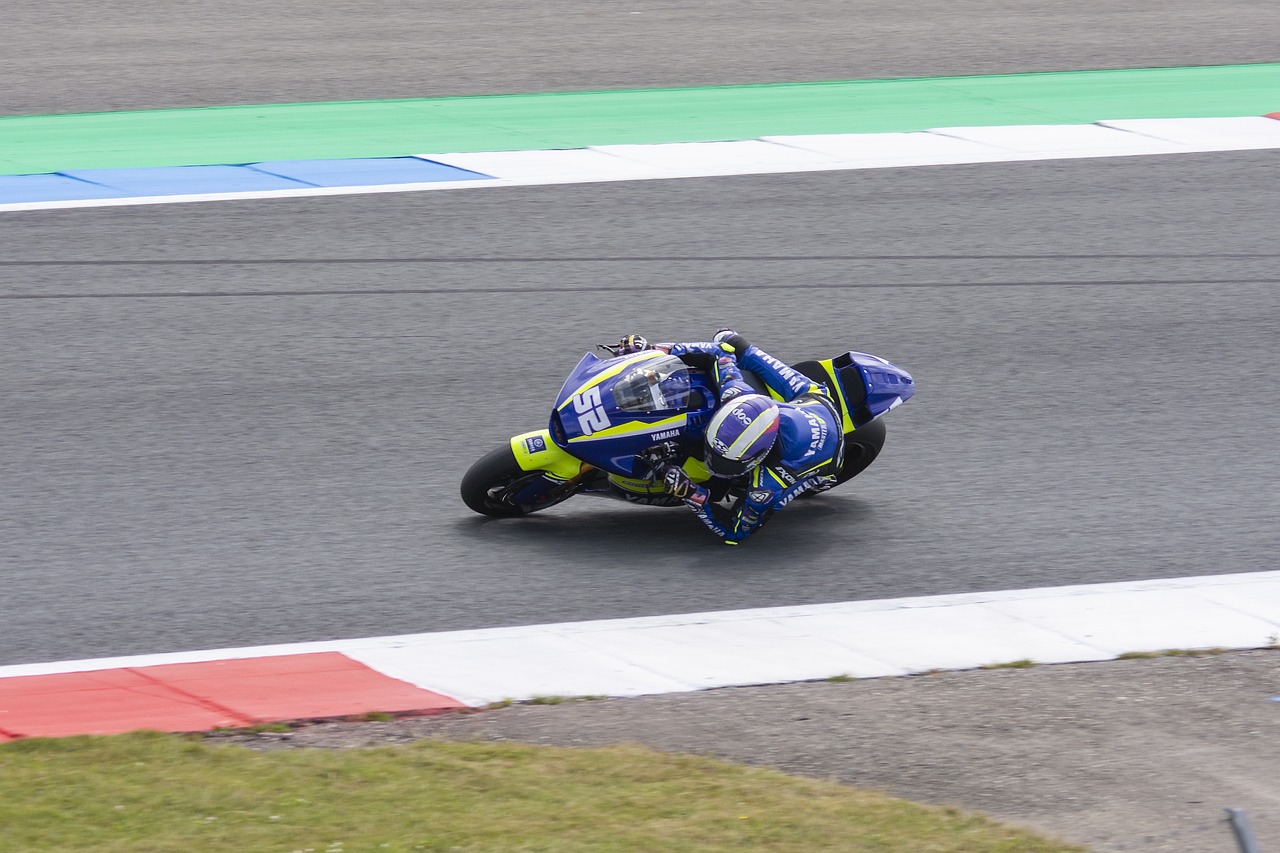 了身份证 了身份证