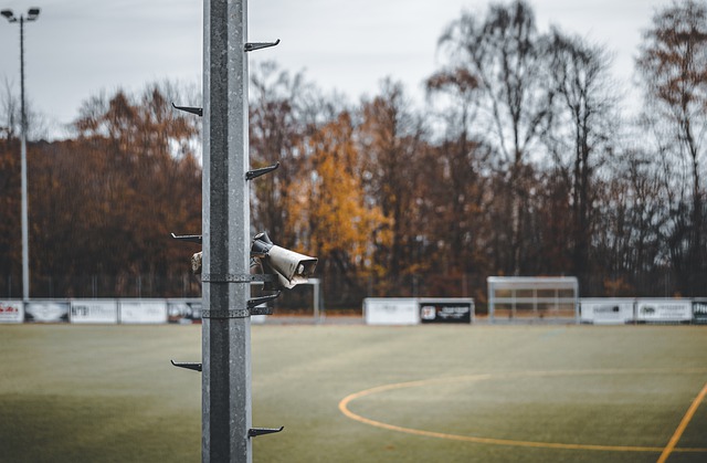 将他们出售 将他们出售