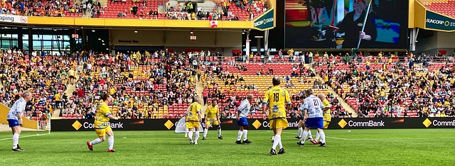 们的需求 们的需求