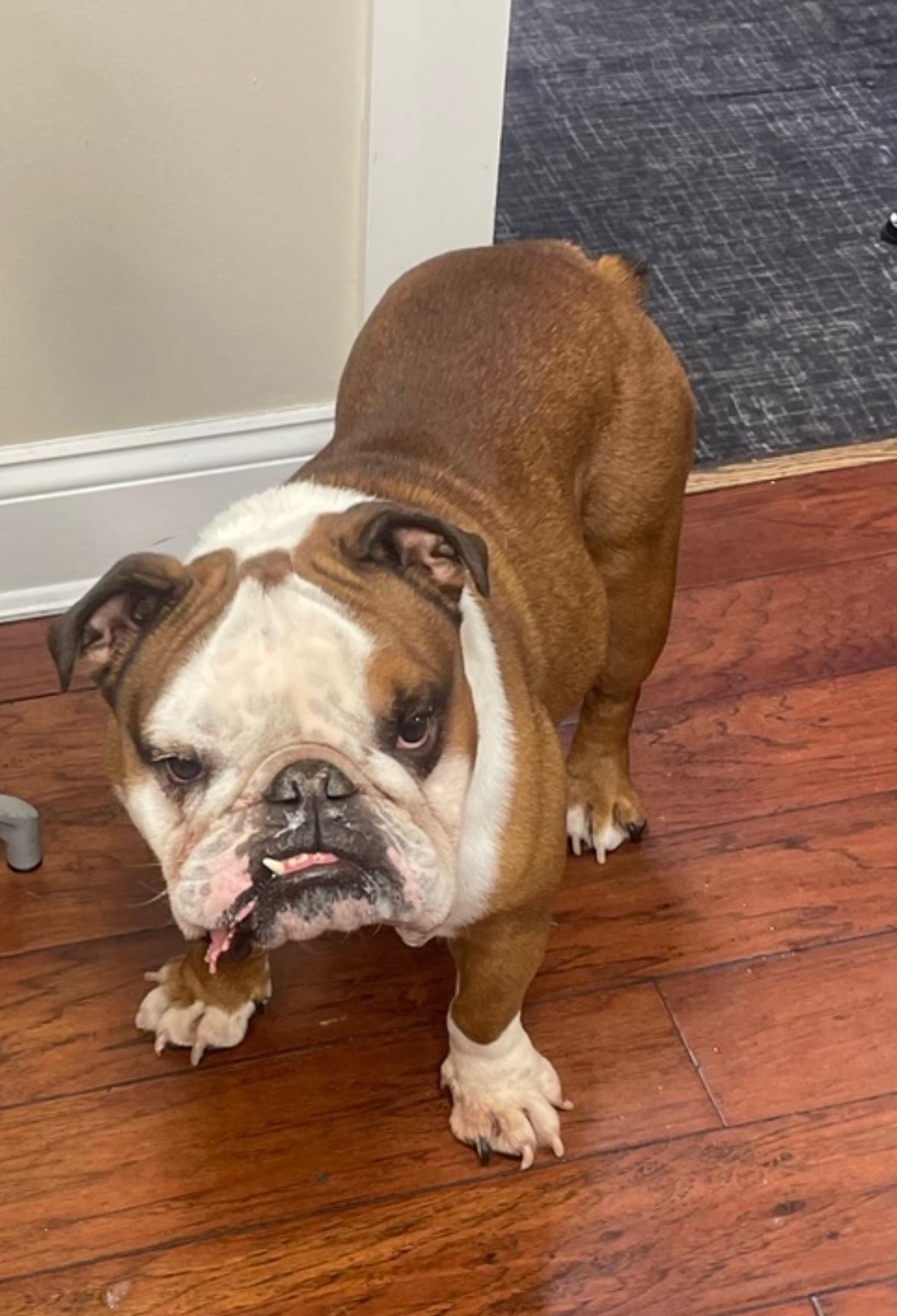 加法哲学 加法哲学