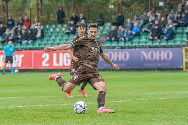 不仅巩固了 不仅巩固了