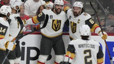 的大胆探索 的大胆探索