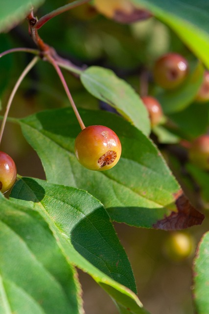 在积极寻求 在积极寻求