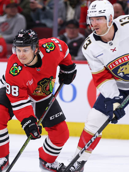 国际化的双 国际化的双